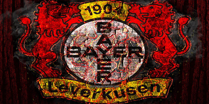 Bayer Leverkusen vs St. Pauli – Pekan ke-13 Bundesliga, 7 November 2024